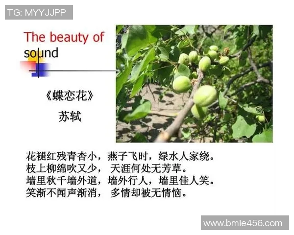 中文vs外语学习的优势与挑战探讨与经验分享 中文vs外语学习的优势与挑战探讨与经验分享